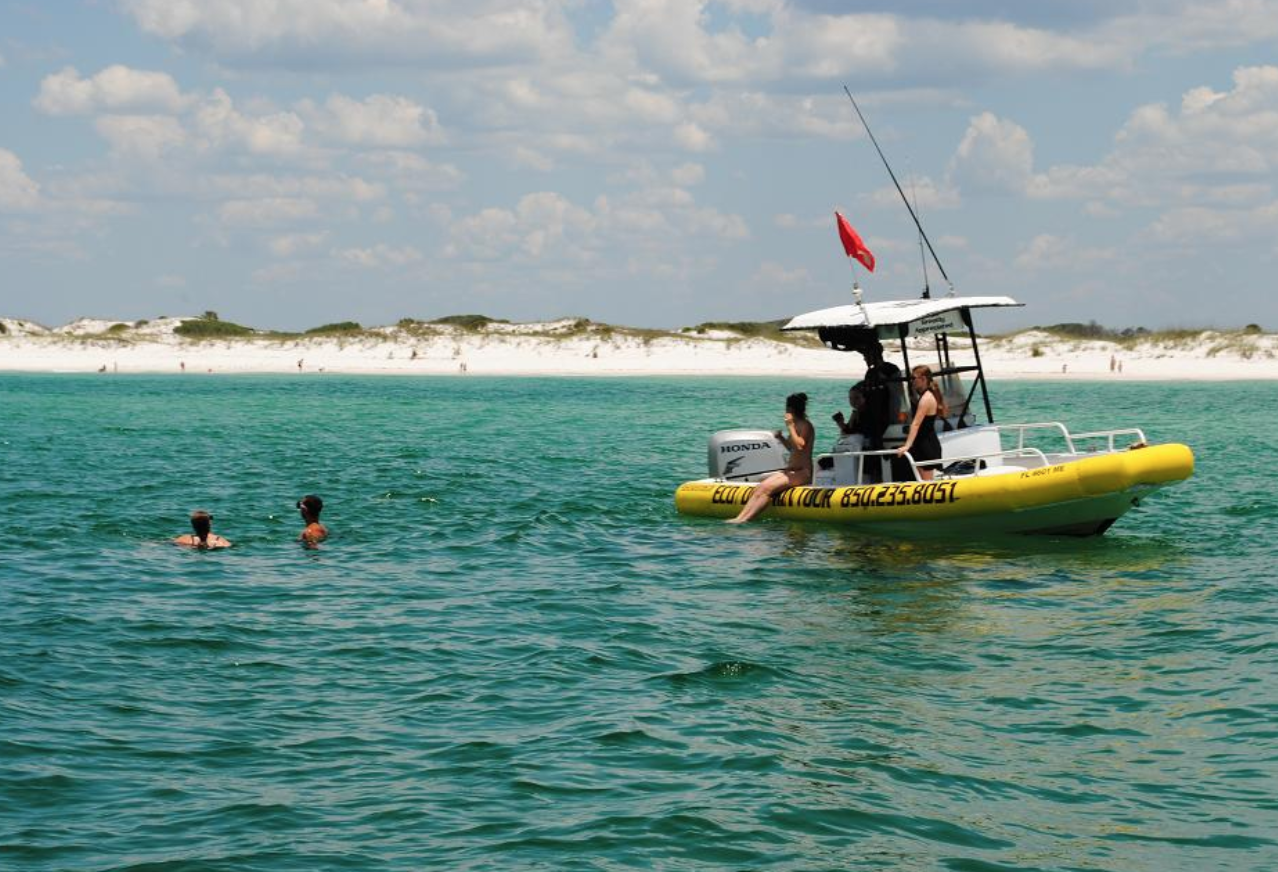 9 Best Dolphin Cruises In Panama City Beach, FL TripShock!