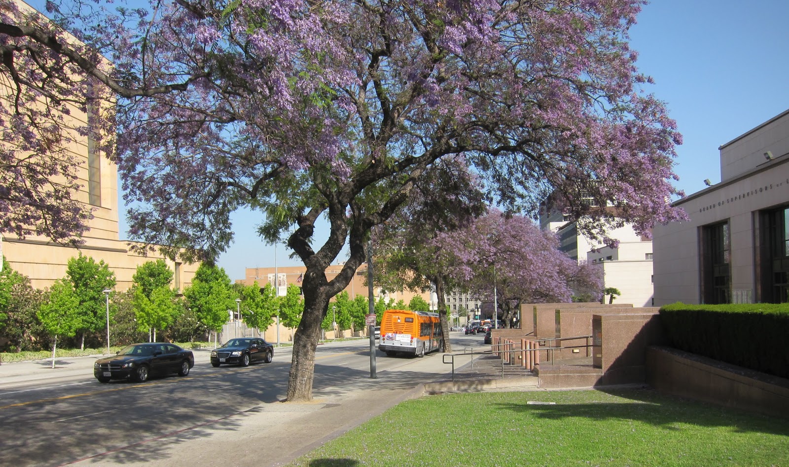 transpress nz traffic in West Temple Street, Los Angeles