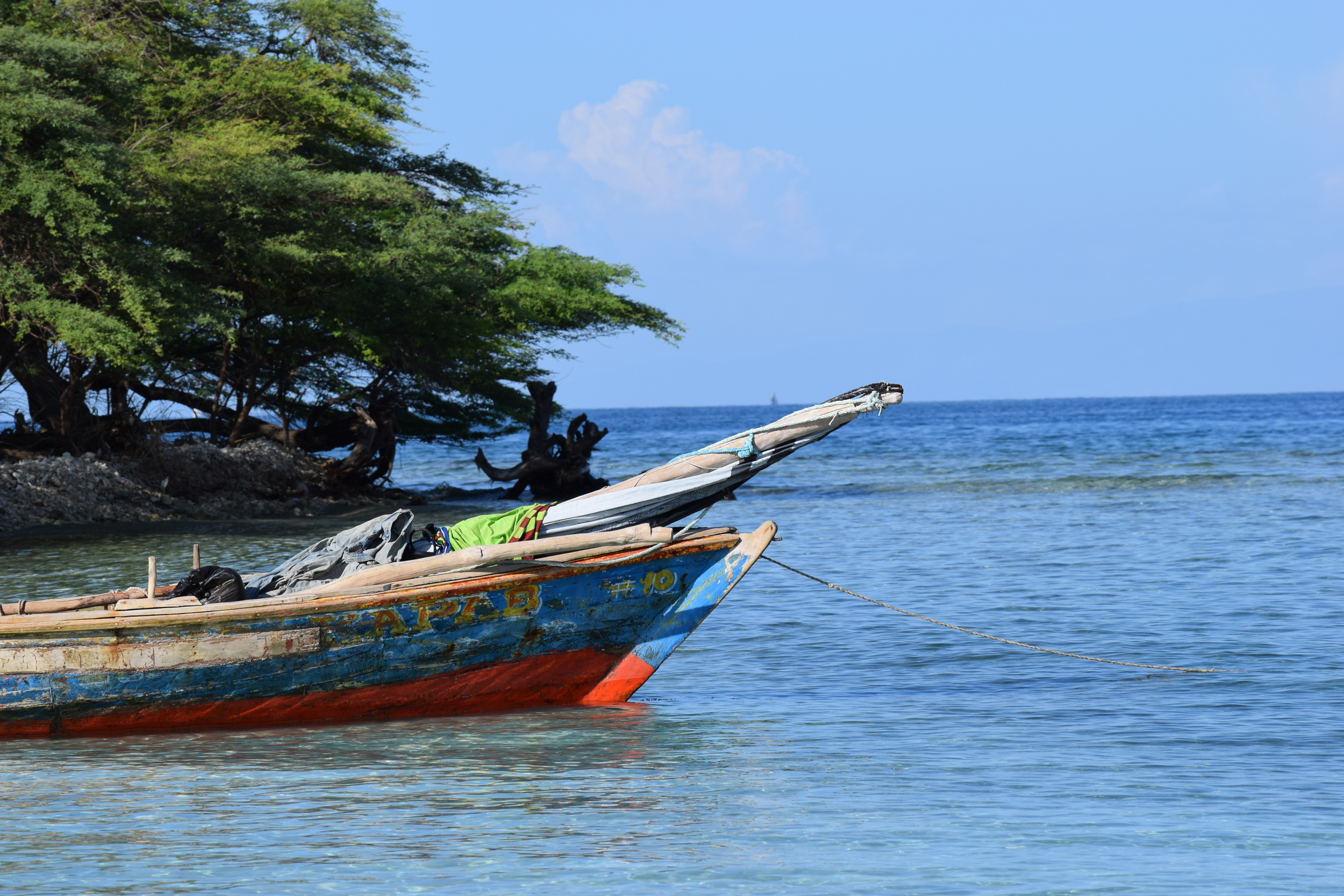 PortauPrince Taxi and Tours